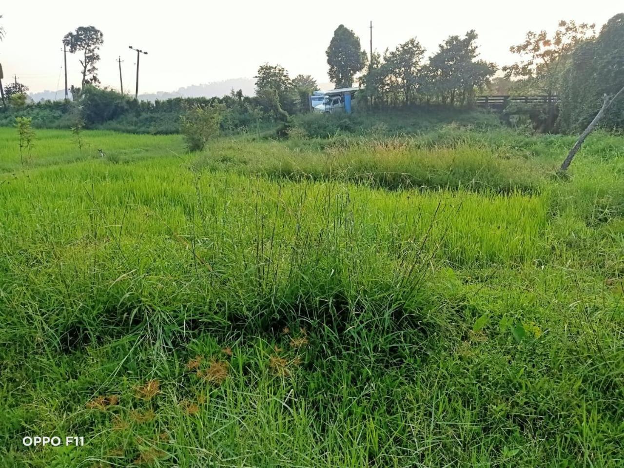 Samz Estate Stay 2Bhk Madikeri Bagian luar foto