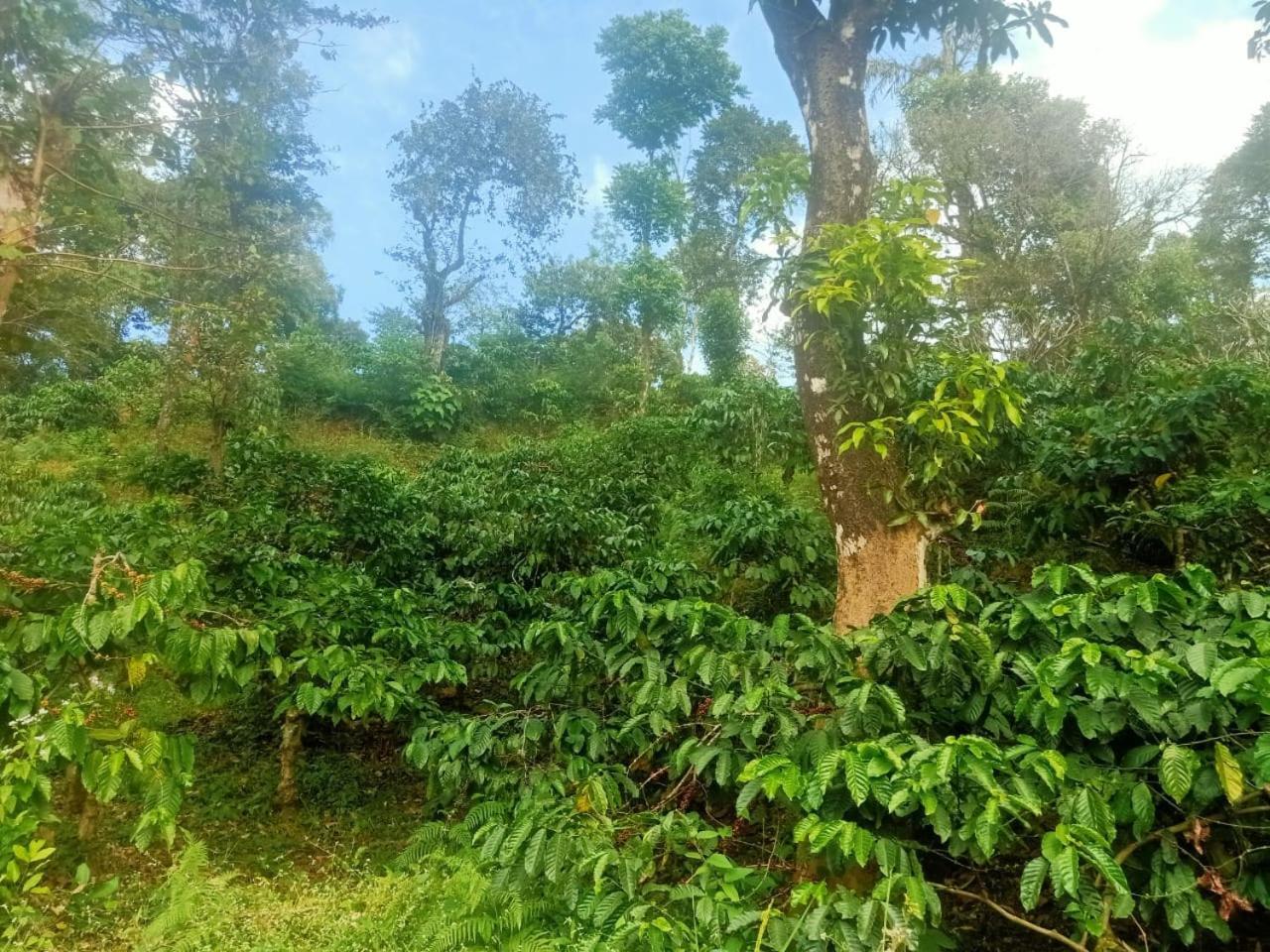 Samz Estate Stay 2Bhk Madikeri Bagian luar foto